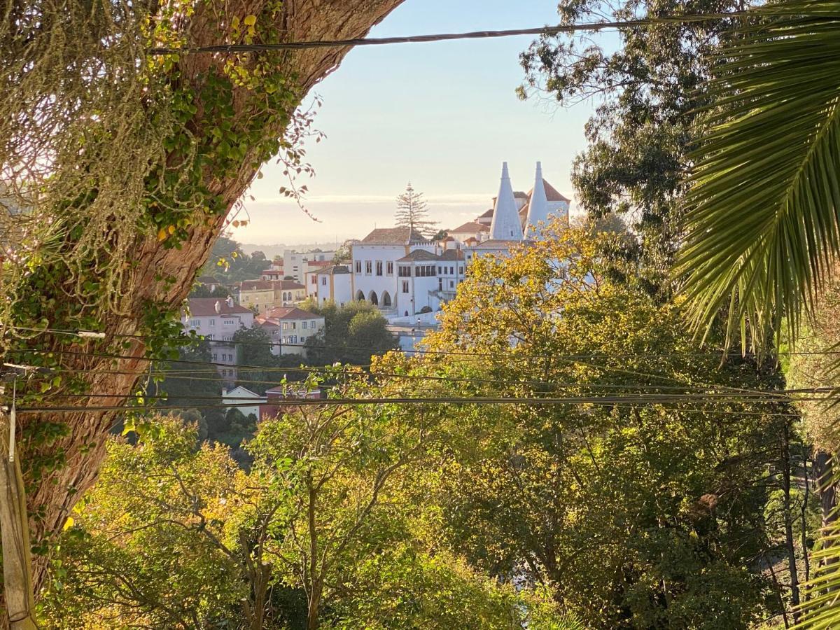 Luxurious Royal Estate In Historic Sintra Paradise Kültér fotó