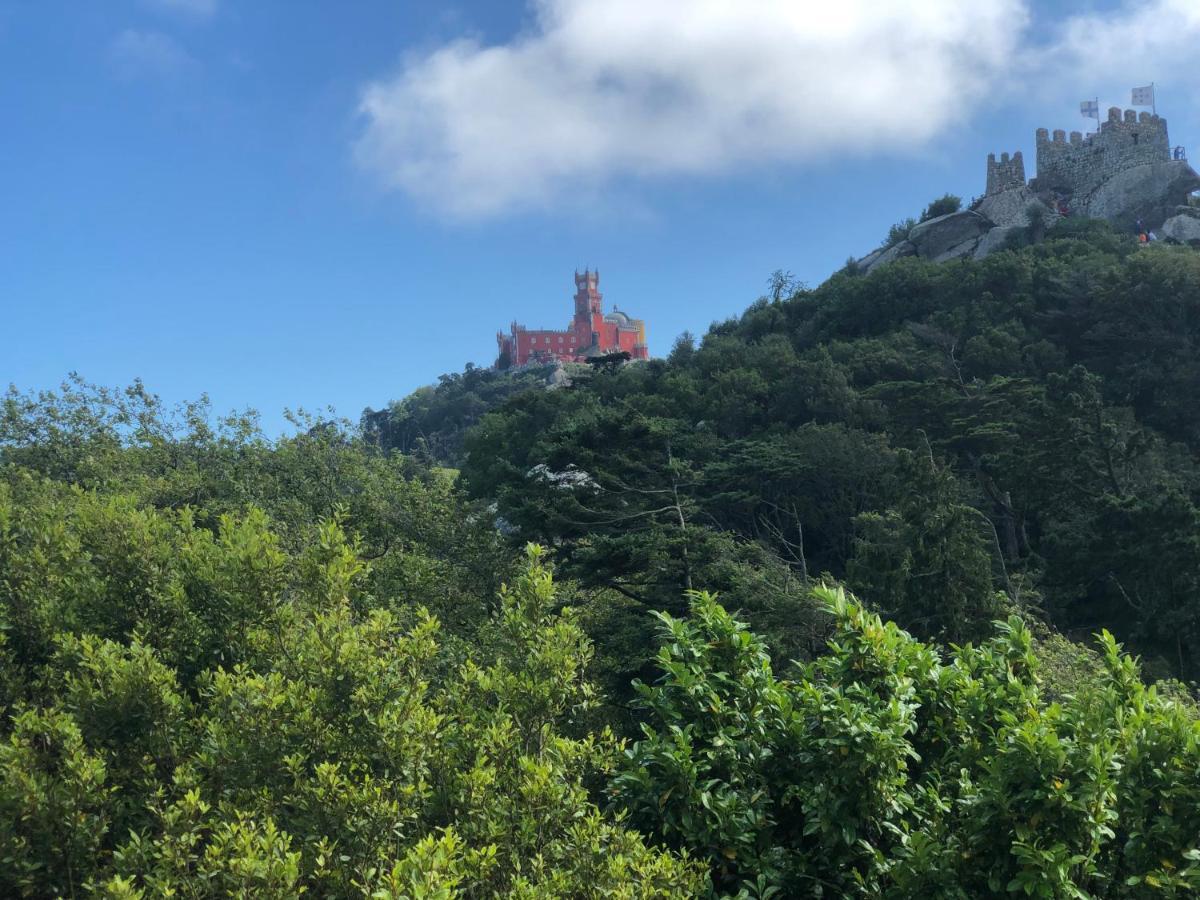 Luxurious Royal Estate In Historic Sintra Paradise Kültér fotó