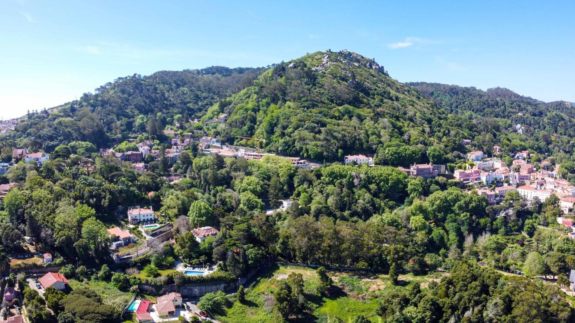 Luxurious Royal Estate In Historic Sintra Paradise Kültér fotó