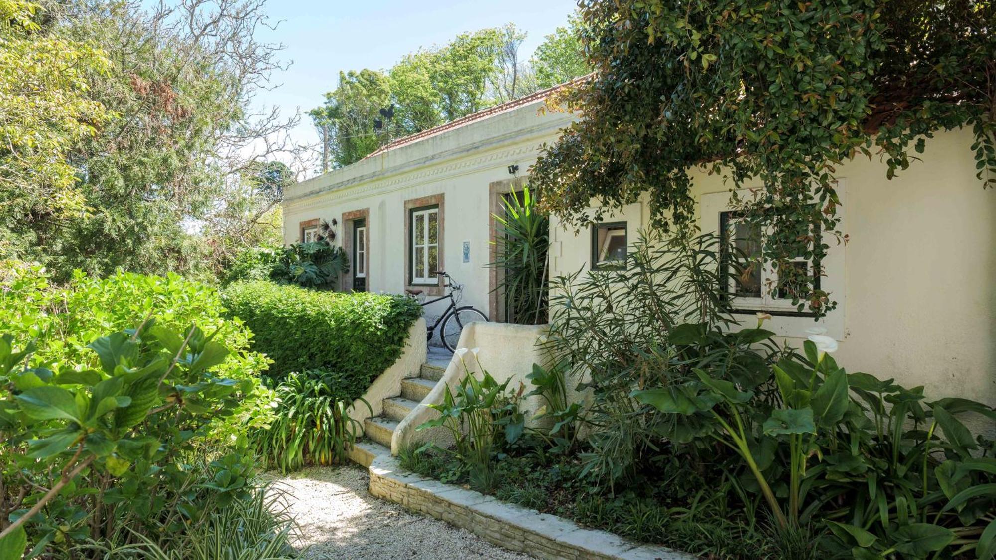 Luxurious Royal Estate In Historic Sintra Paradise Kültér fotó